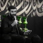 سید رضا نریمانی