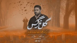 نماهنگ گل نرگس محمدرضا خامه چیان