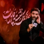 سید رضا نریمانی