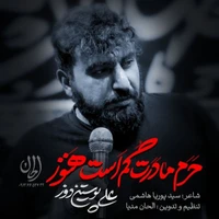 وفات حضرت معصومه (س) استودیویی