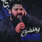 امیر طلاجوران