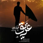 مهدی رعنایی