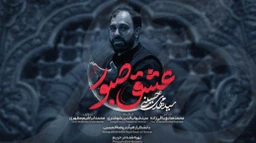 نماهنگ عشق صبورم سید مهدی حسینی