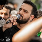وحید شکری