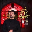 مهدی رعنایی