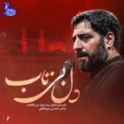 سید مجید بنی فاطمه