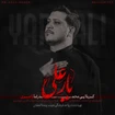 محمد رضا ناصری