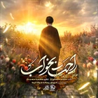 مجتبی رمضانی