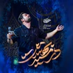 مهدی رعنایی